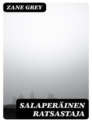 cover image of Salaperäinen ratsastaja